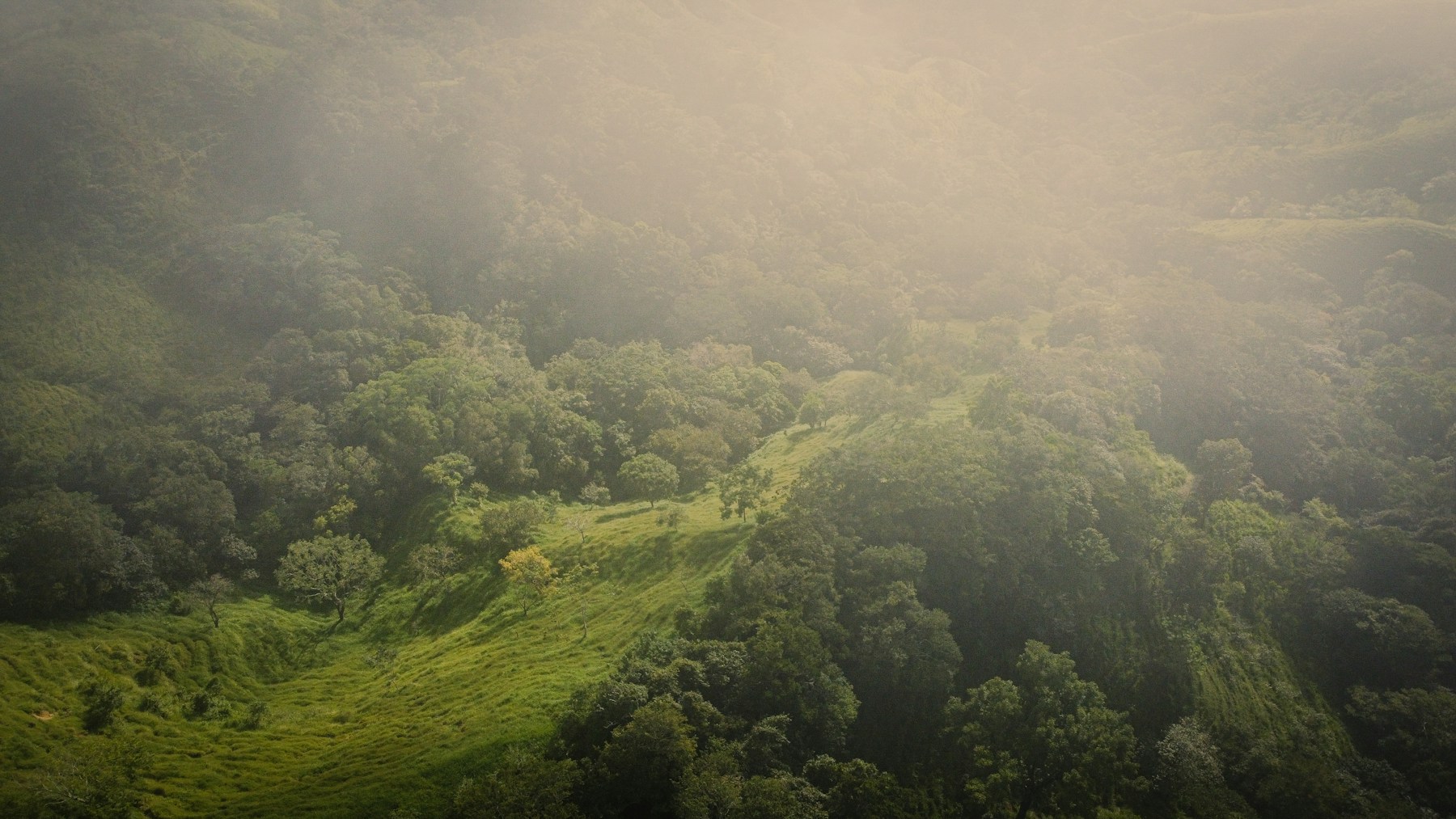 unsplash-monteverde-aerial-forest-1638809782100-clean