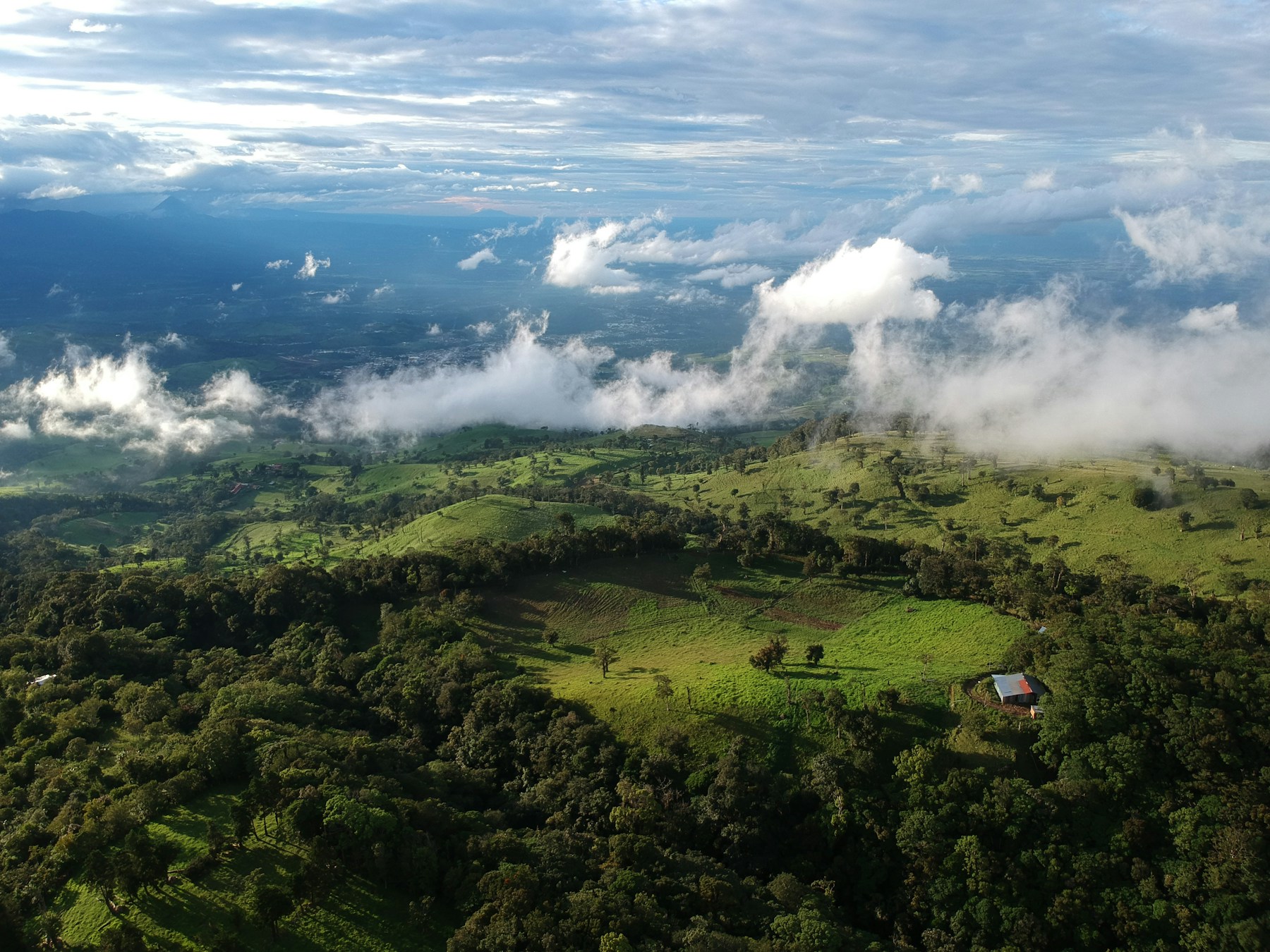 Aerial view of Costa Rica rainforest