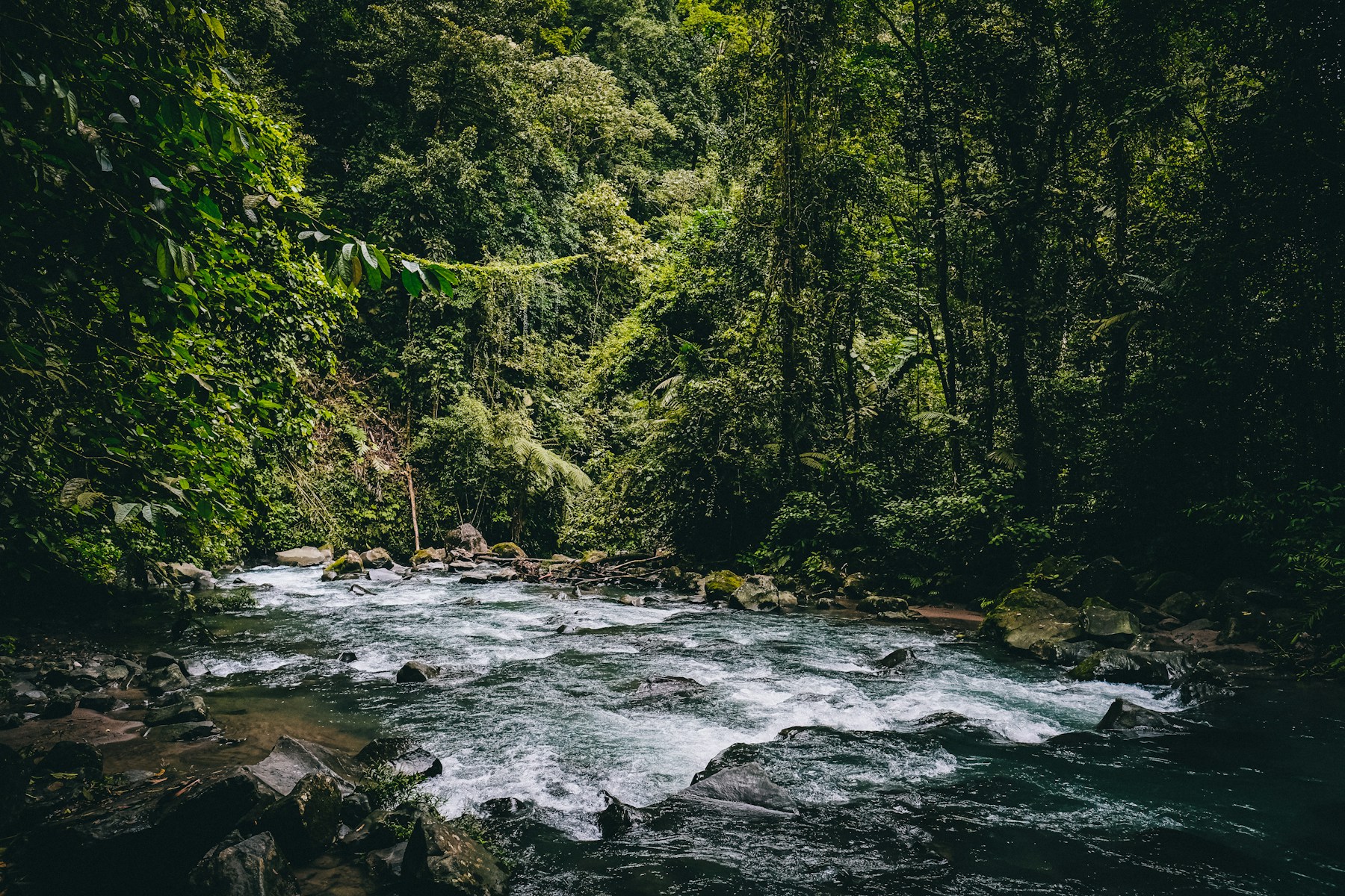 Tropical river flowing through Costa Rica rainforest