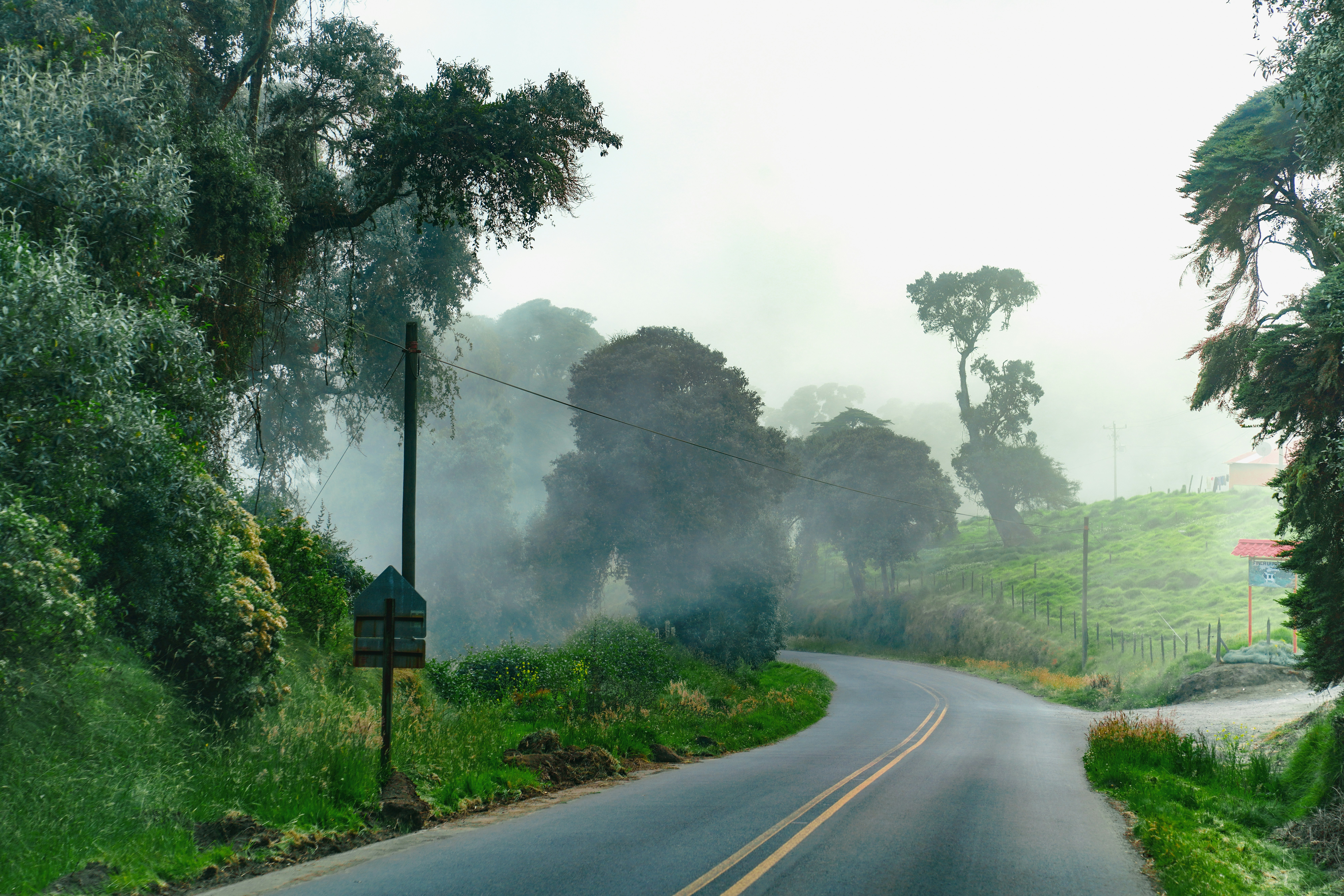 Foggy paved road through dense green forest in Costa Rica